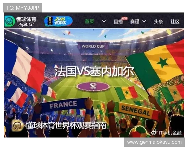 世界杯法国对阵塞内加尔比赛节奏分析与精彩瞬间回顾